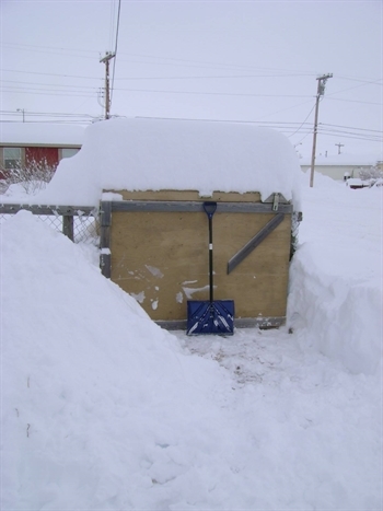 36 inches of snow in Browning, MT